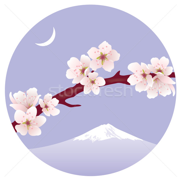 Stock photo: vector branch of sakura (cherry)