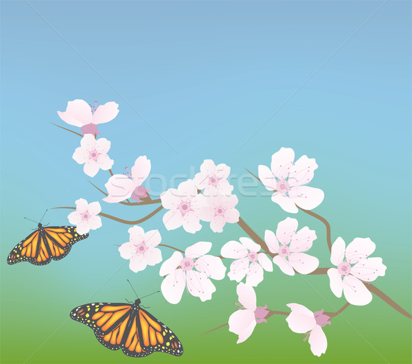 Vector kers tak vlinders bloem voorjaar Stockfoto © Dahlia