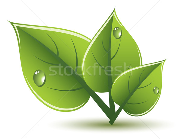 向量 綠葉 生態 設計 樹 抽象 商業照片 © Dahlia