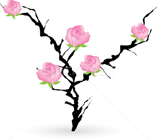 blackthorn bush with roses Stock photo © Dahlia