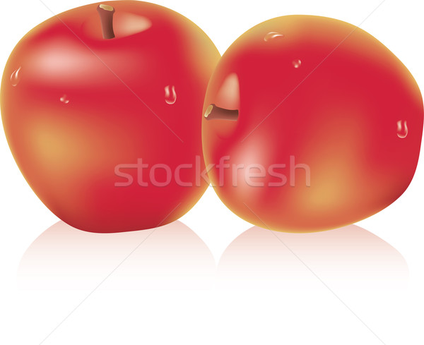 Appels waterdruppels rijp Rood water natuur Stockfoto © Dahlia