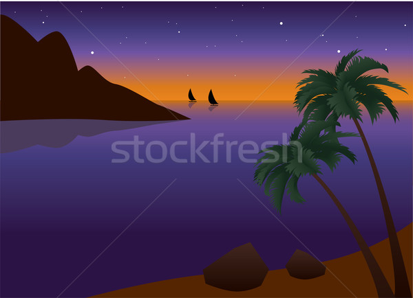 Foto stock: Vector · tropicales · palma · playa · océano · puesta · de · sol