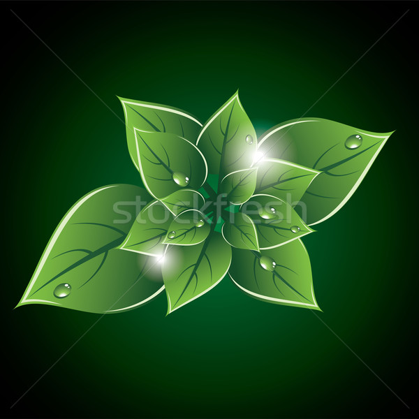 Vector groene bladeren eco ontwerp boom abstract Stockfoto © Dahlia