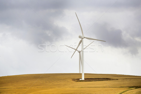 Wind macht boerderij installatie South Africa natuur Stockfoto © danienel