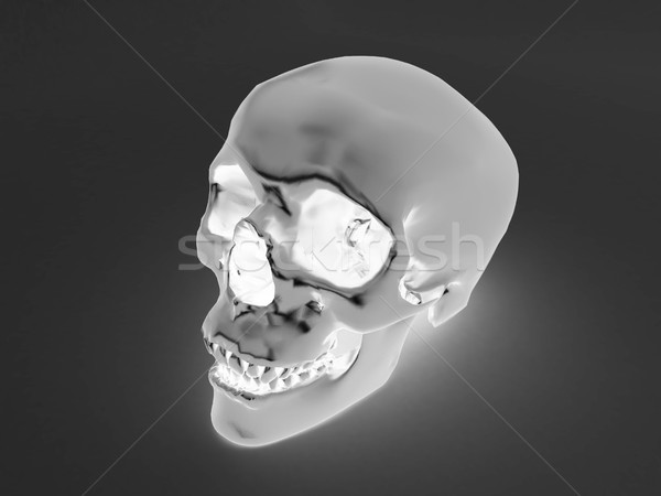 3D render of a x-ray human scull Stock photo © danilo_vuletic