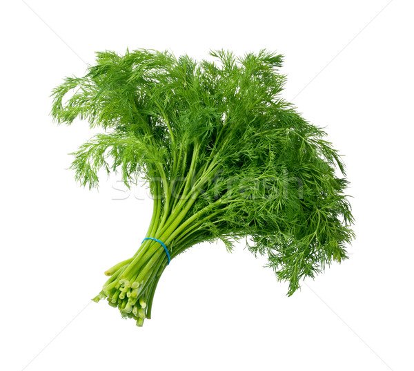 Odizolowany biały oddziału makro przyprawy herb Zdjęcia stock © danny_smythe