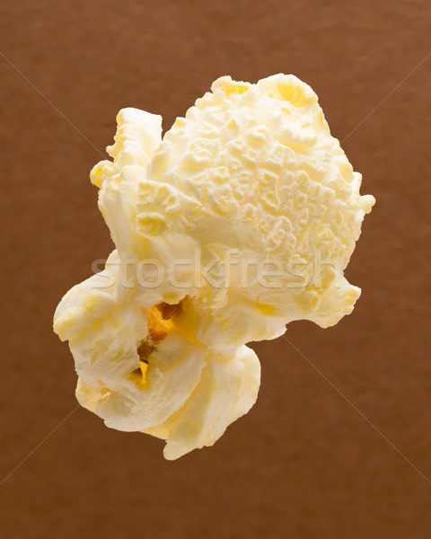 Izolált fehér pattogatott kukorica barna étel film Stock fotó © danny_smythe