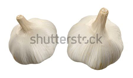 Ajo aislado blanco vegetales bombilla objeto Foto stock © danny_smythe