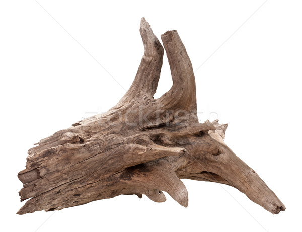 Driftwood odizolowany biały makro drewna nikt Zdjęcia stock © danny_smythe