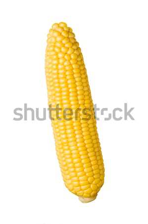 Ohr Mais isoliert weiß Gemüse frischen Stock foto © danny_smythe