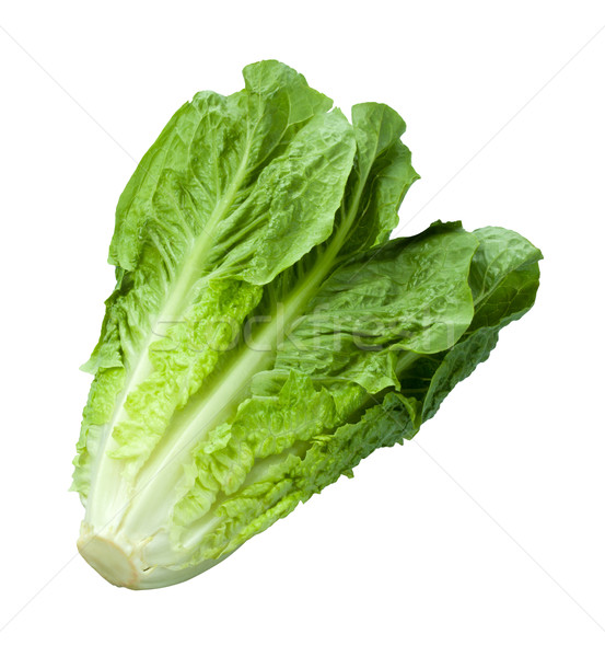 Lechuga aislado blanco alimentos ensalada vegetales Foto stock © danny_smythe