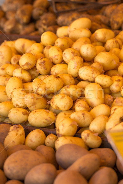 Stock photo: new potatoes