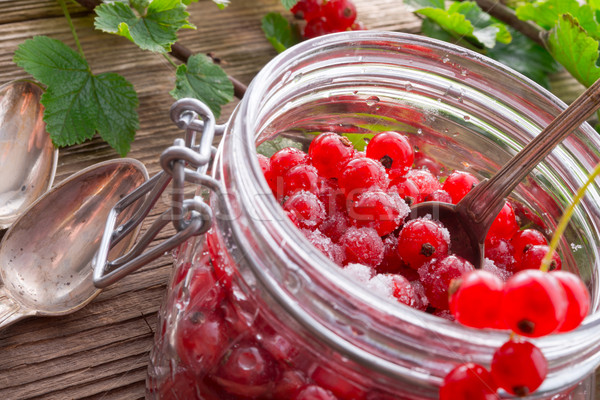 sugared red currant Stock photo © Dar1930