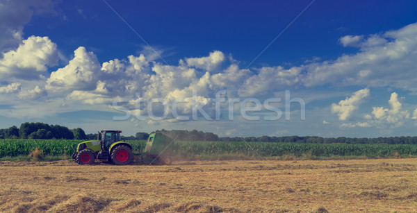 Tractors and harvesting Stock photo © Dar1930