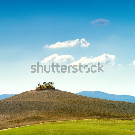 Campi Toscana cielo strada vino natura Foto d'archivio © Dar1930