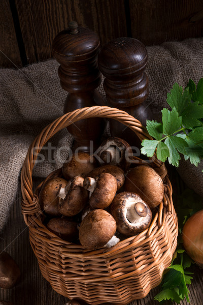 Scaly Wood Mushroom Stock photo © Dar1930