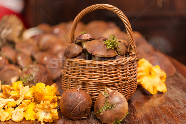 Foto stock: Cesta · setas · forestales · fondo · color · patrón