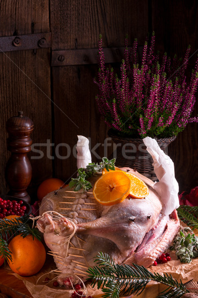 Foto stock: Ganso · luz · cozinha · pássaro · frango