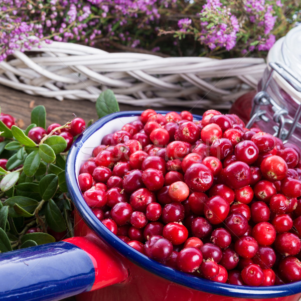 Stock photo: Lingonberries