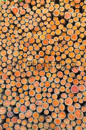 Wood pile Stock photo © Dar1930