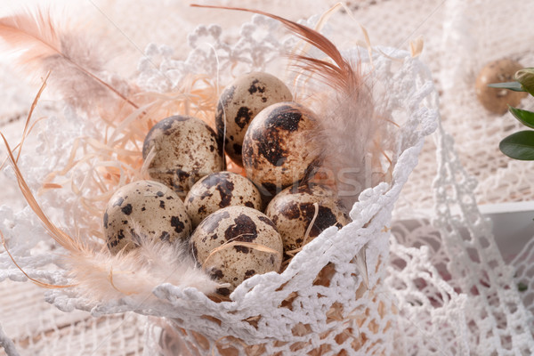 quail's eggs Stock photo © Dar1930