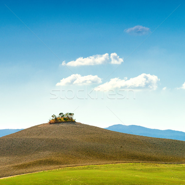 Campi Toscana cielo strada vino natura Foto d'archivio © Dar1930