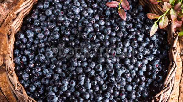 European blueberry Stock photo © Dar1930