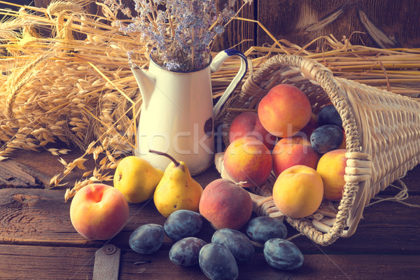 Coş fruct hârtie soare măr vară Imagine de stoc © Dar1930