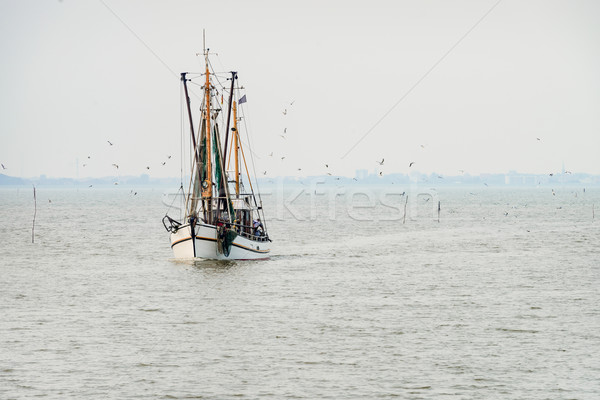 Norte mar camarón barcos peces paisaje Foto stock © Dar1930