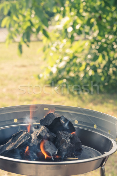 Burning Charcoal Stock photo © Dar1930