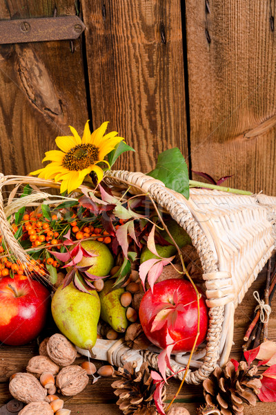 Cornucopia Stock photo © Dar1930
