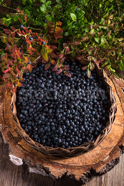 European blueberry Stock photo © Dar1930