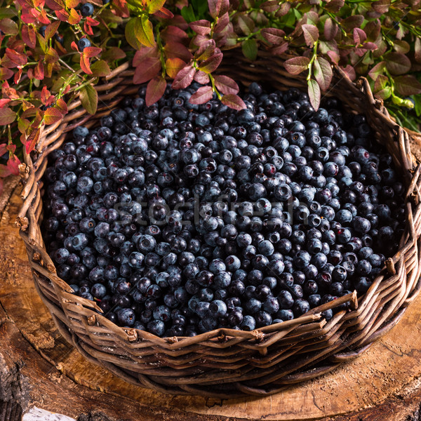 European blueberry Stock photo © Dar1930