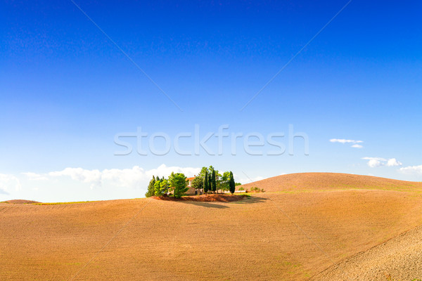 Campi Toscana cielo strada vino natura Foto d'archivio © Dar1930