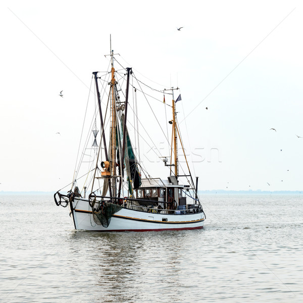 North Sea shrimp boats Stock photo © Dar1930