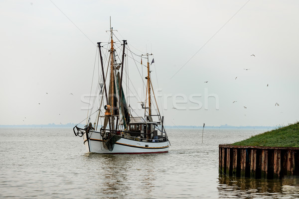 North Sea shrimp boats Stock photo © Dar1930