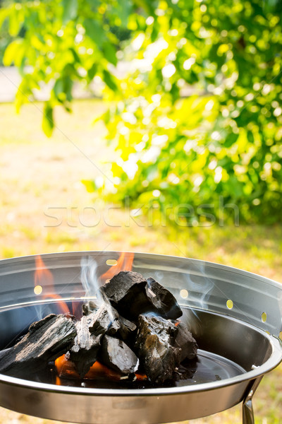 Ardor carbón fuego madera fondo humo Foto stock © Dar1930