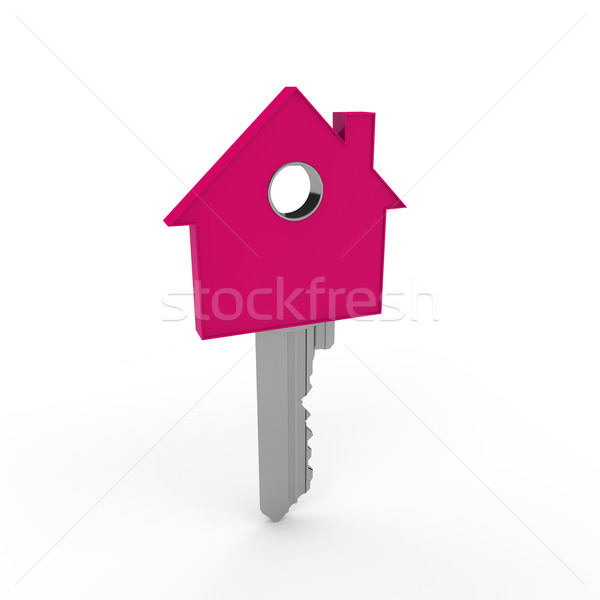 3d home key pink Stock photo © dariusl