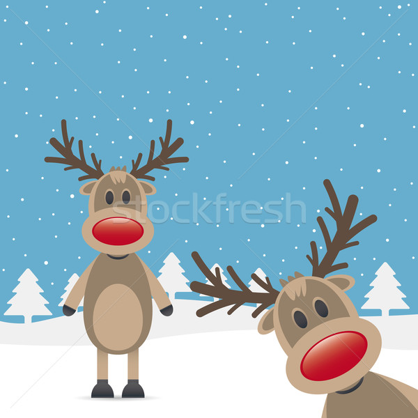 two rudolph reindeer red nose Stock photo © dariusl
