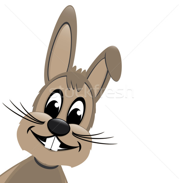 easter bunny withe background Stock photo © dariusl