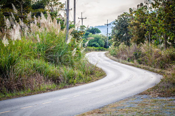 曲線 道路 表示 空 草 フィールド ストックフォト © darkkong