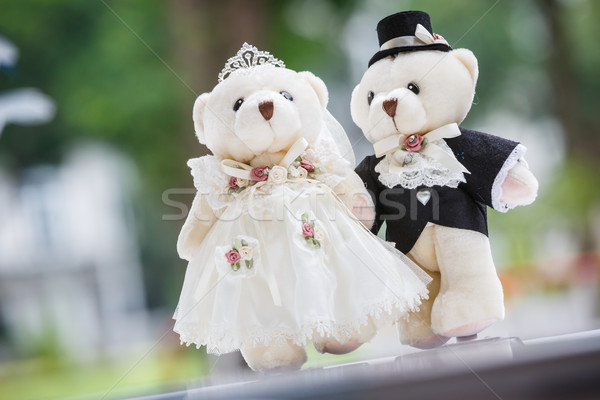 Casamento boneca bonitinho casal tenha cerimônia de casamento Foto stock © darkkong