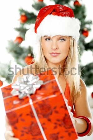 美麗 聖誕節 年輕女子 聖誕樹 帽子 商業照片 © dash