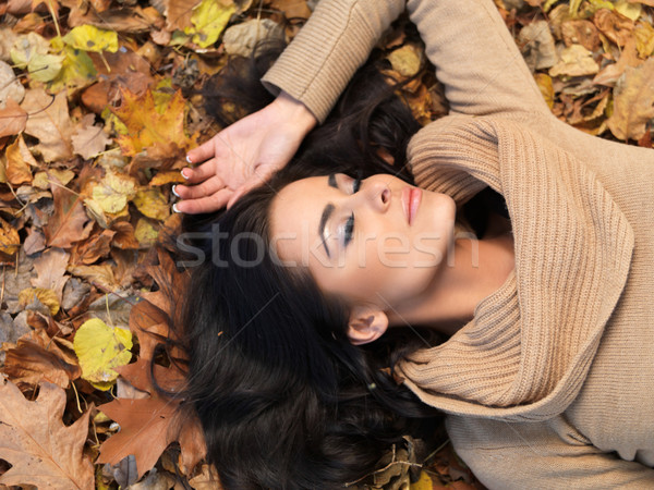 Szépség ősz gyönyörű nő idő park őszi idény Stock fotó © dash