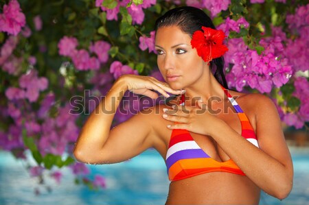 Sexy girl bikini posant fleur argent derrière [[stock_photo]] © dash