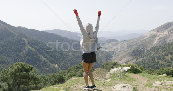 Fiatal sikeres boxoló felső hegy hátulnézet Stock fotó © dash