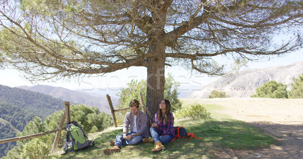 Stock photo: Couple under big wonderful tree