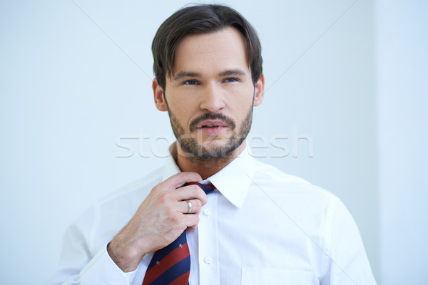 Bearded young man fiddling with his tie Stock photo © dash