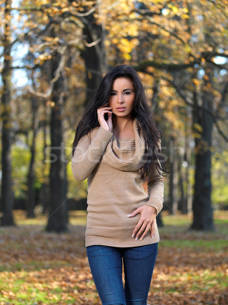 Pretty Woman Posing at the Woodland During Autumn Stock photo © dash