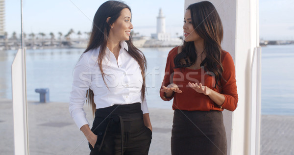 Zwei chic junge Frauen stehen zusammen Stock foto © dash